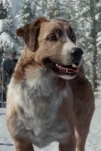 Call of the Wild, The